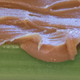 Image for article titled Celery with Peanut Butter: The Snacktaku Review